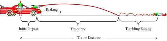 Break a leg Analyzing vehicle pedestrian collisions MEA Forensic